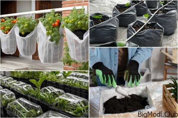 growing vegetables in plastic bags